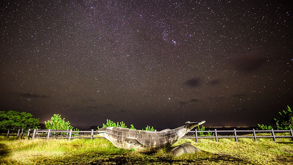 式根島の星空
