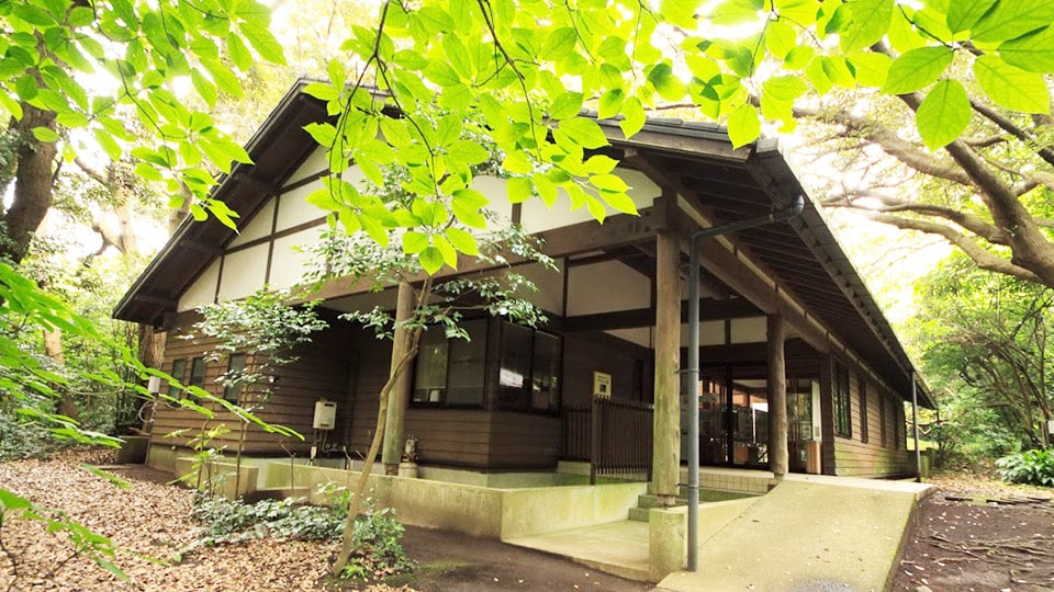 三宅島自然ふれあいセンターアカコッコ館