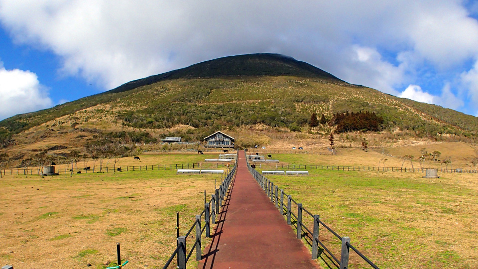 八丈島ふれあい牧場