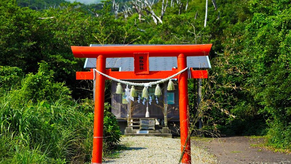 椎取神社