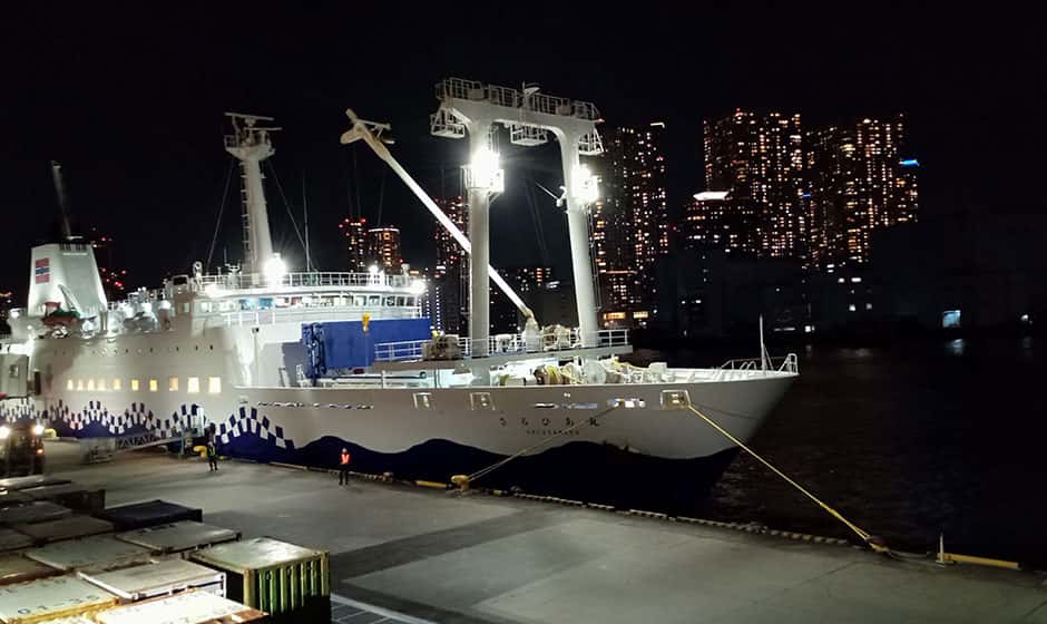 夜のさるびあ丸