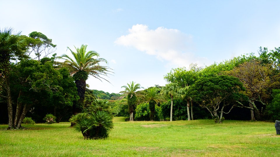 八丈植物公園