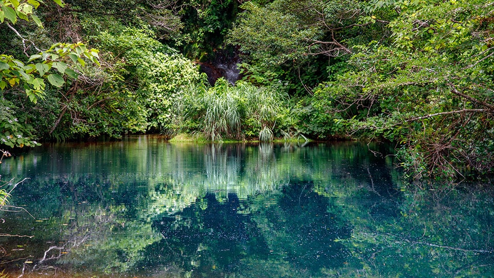自然の緑と青く染まった硫黄沼