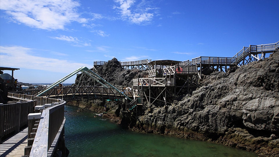 赤崎遊歩道の飛び込み台
