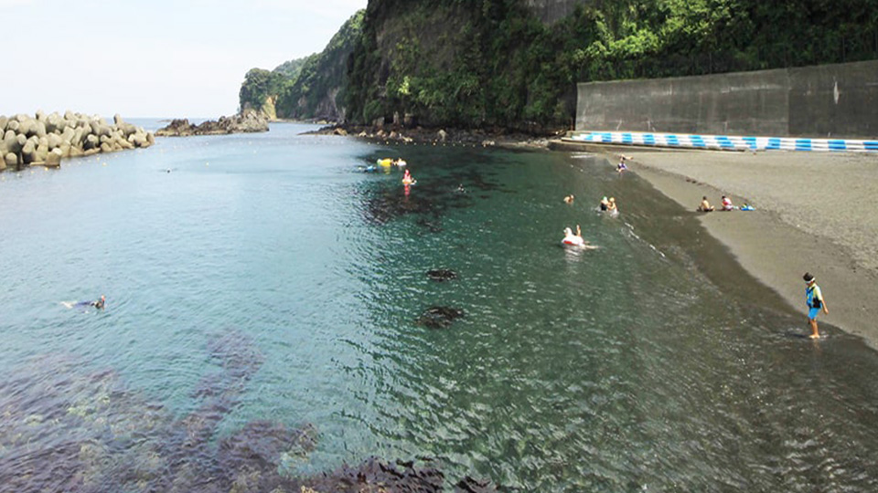 伊豆大島ツアー詳細の海水浴場