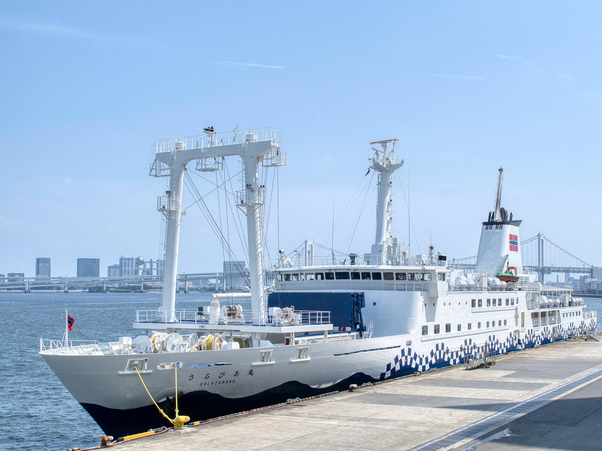 大型客船サルビア丸