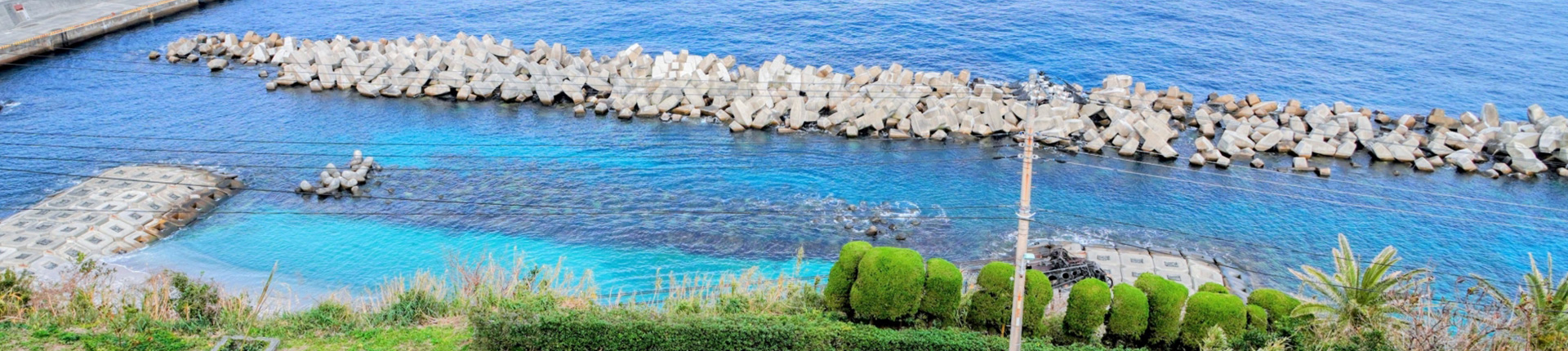 利島カテゴリー背景画像