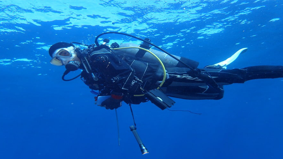 伊豆大島の体験ダイビングの画像