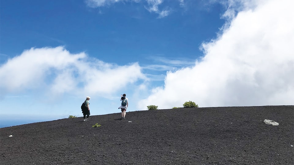伊豆大島のトレッキングツアーの画像