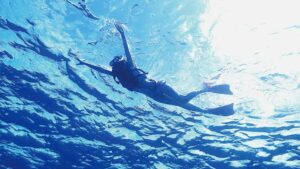 シュノーケリングオプションの共通画像