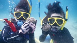 スキューバライトオプションの共通画像