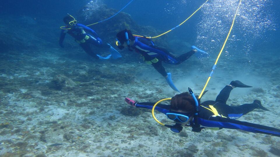 式根島のスキューバライトオプションの画像