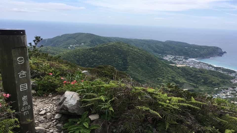 神津島の天上山ディスカバリーツアーオプションの画像