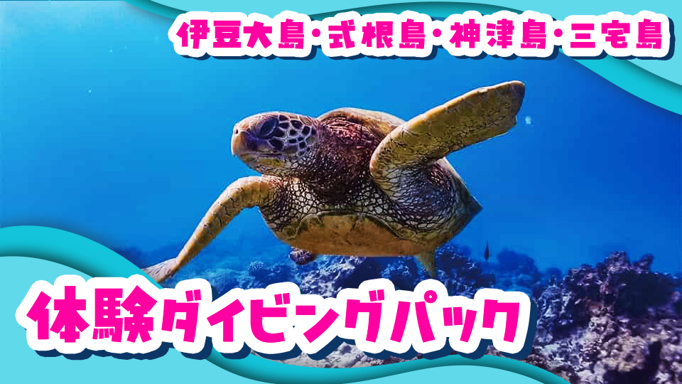 体験ダイビングパック