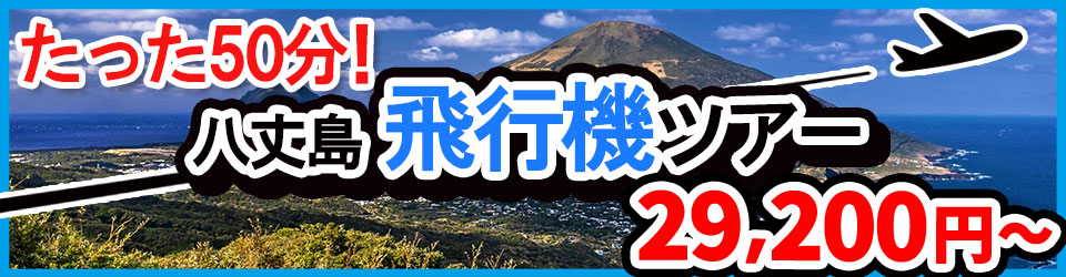 八丈島の飛行機ツアーバナー