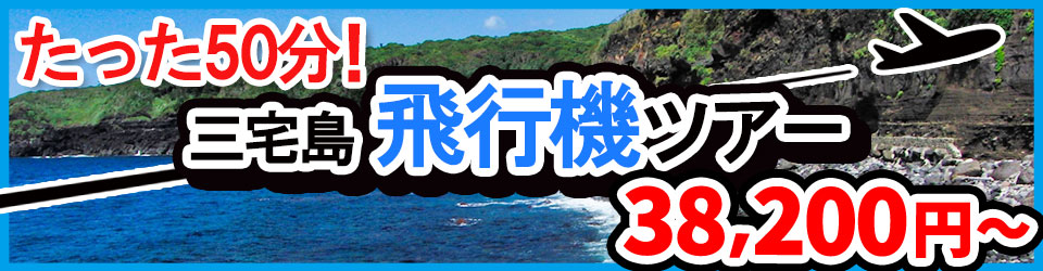 三宅島の飛行機ツアーバナー