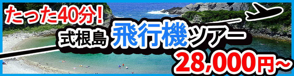 式根島の飛行機ツアーバナー