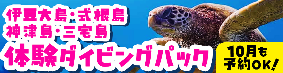 伊豆大島・式根島・神津島・三宅島の体験ダイビングパック