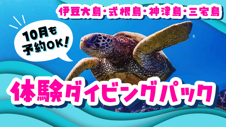 伊豆大島・式根島・神津島・三宅島の体験ダイビングパック