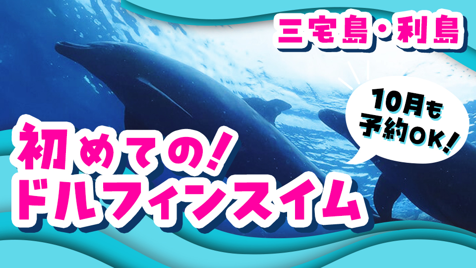 三宅島と利島のドルフィンスイムプラン