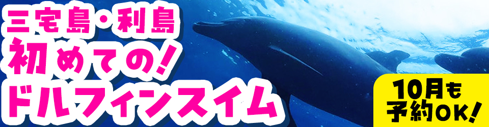 三宅島と利島のドルフィンスイムプラン