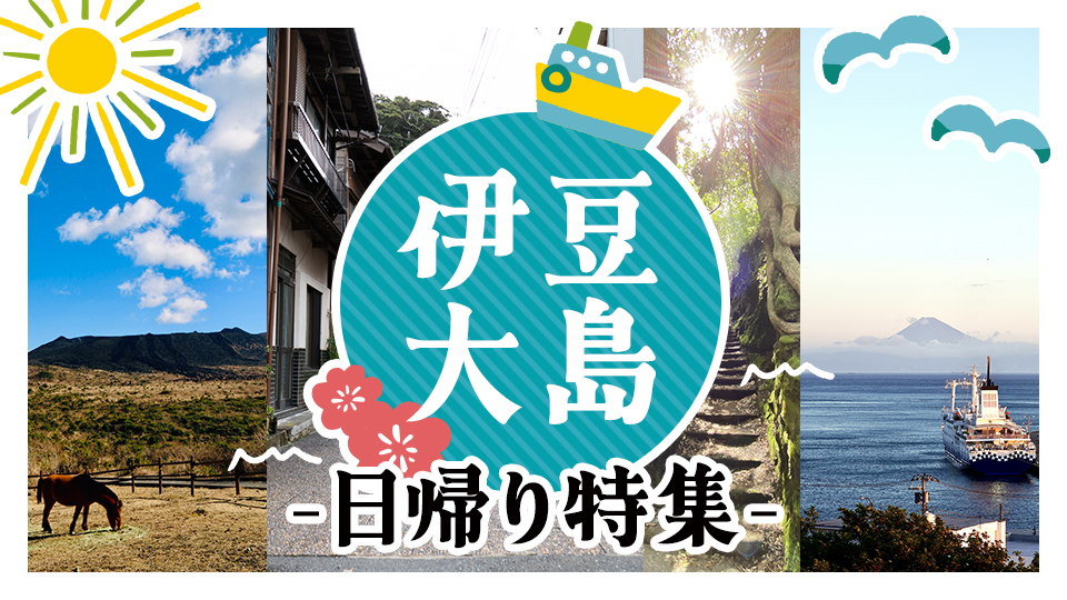 伊豆大島の日帰り特集の画像