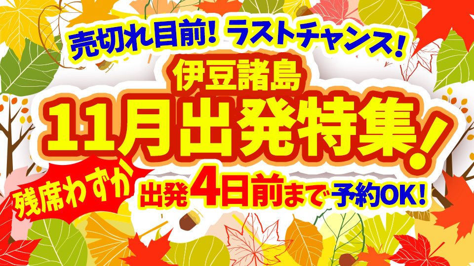 【11月限定】伊豆諸島ツアー直前☆ラストチャンスプラン｜空きのある日程を今すぐチェック！