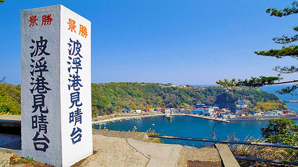 波浮港見晴台の風景写真