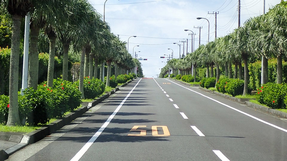 八丈島の道の風景