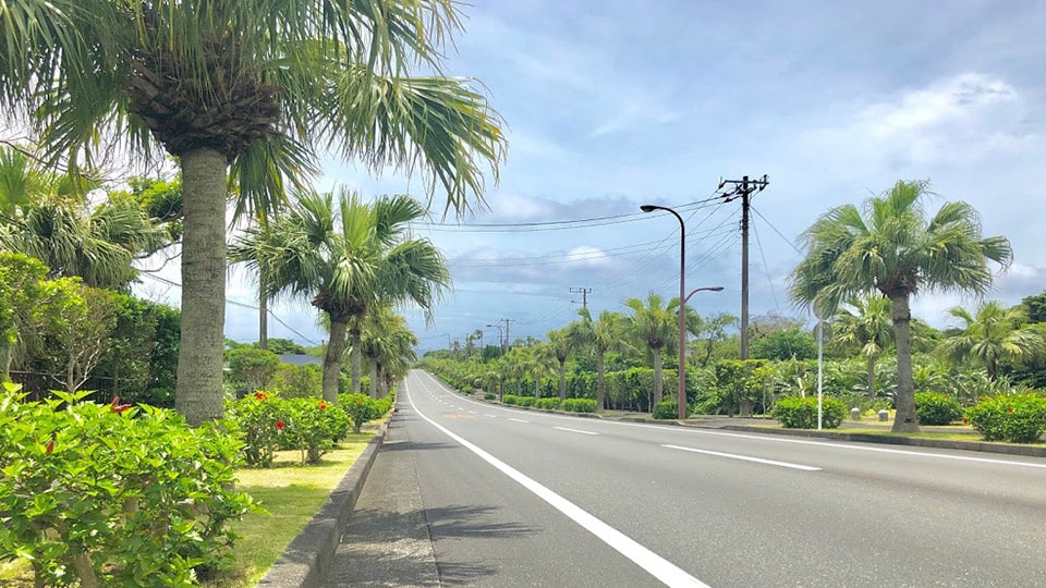 八丈島の道路