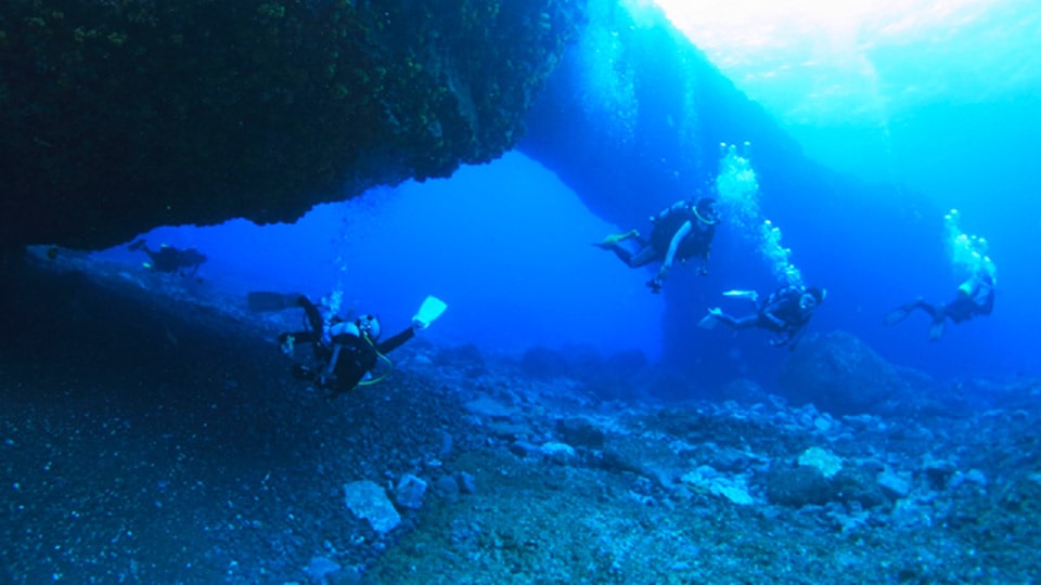 三宅島で潜るダイバーたちの様子
