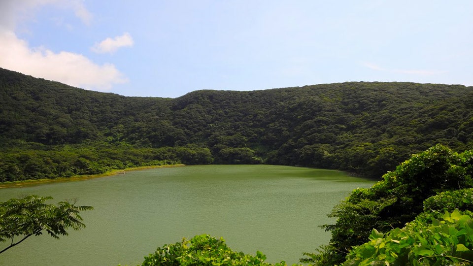 三宅島の大路池