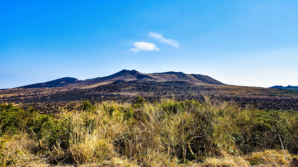 伊豆大島の三原山の山肌