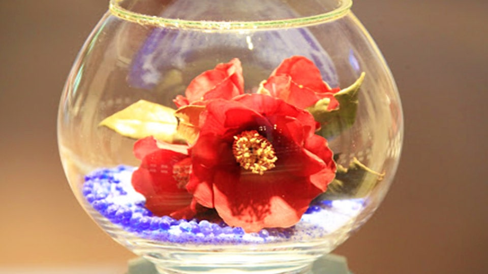 椿資料館に展示された椿のドライフラワー