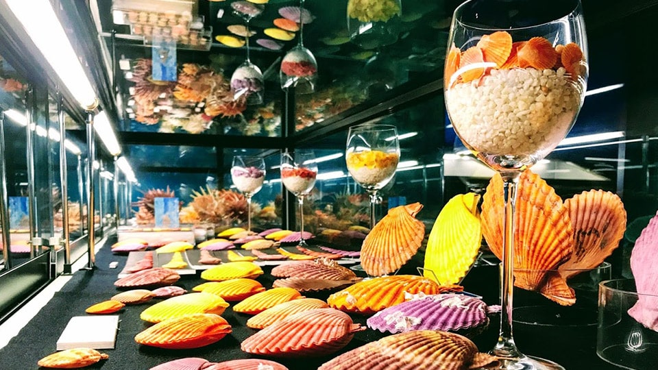 貝の博物館 ぱれ・らめーる