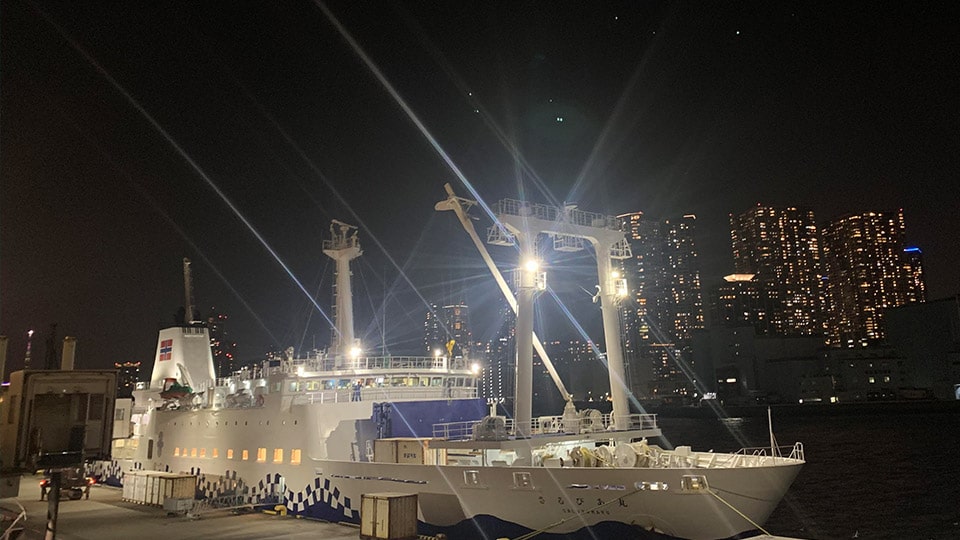 夜の港に停泊する大型客船・さるびあ丸