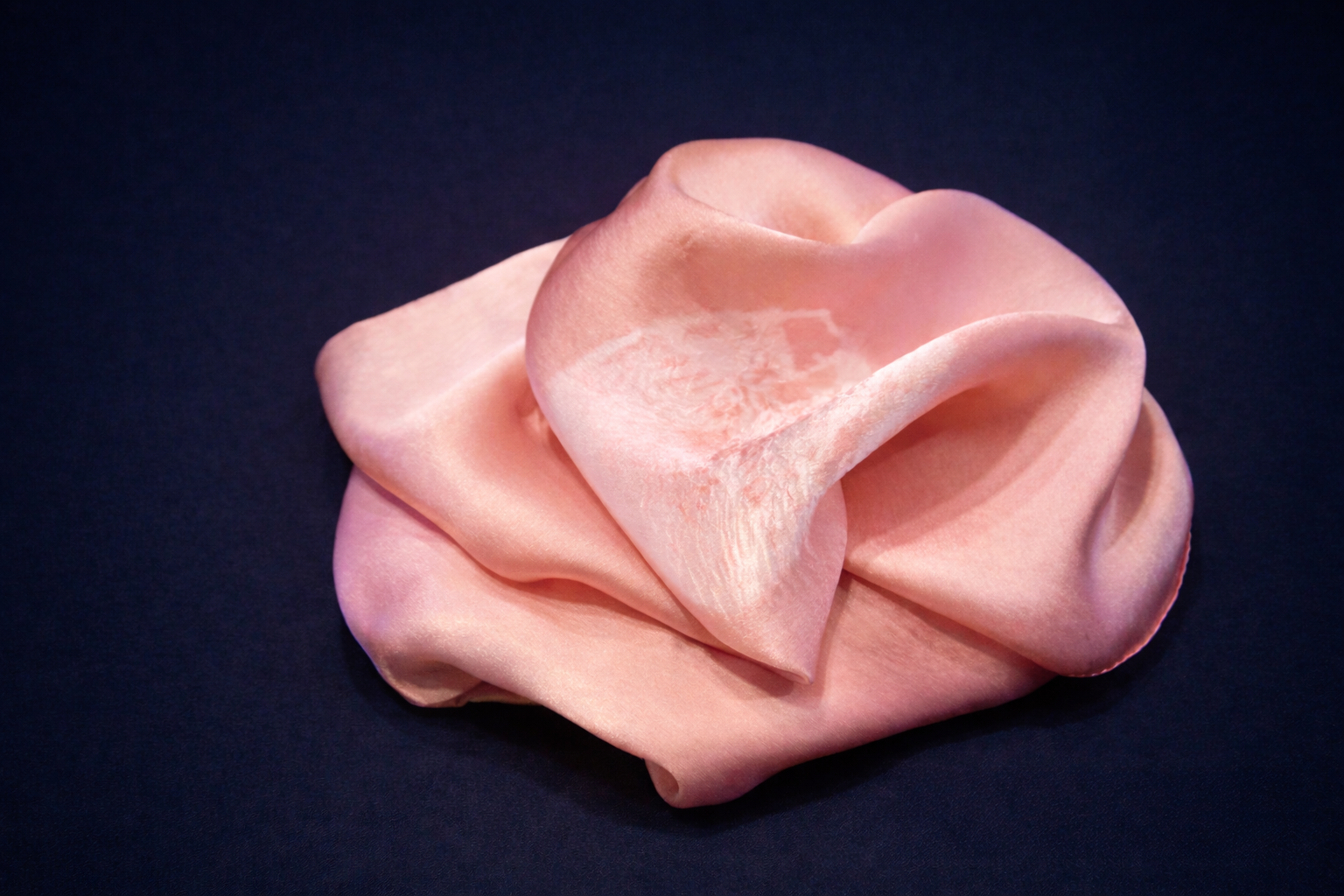 椿の花びら染め体験教室・販売