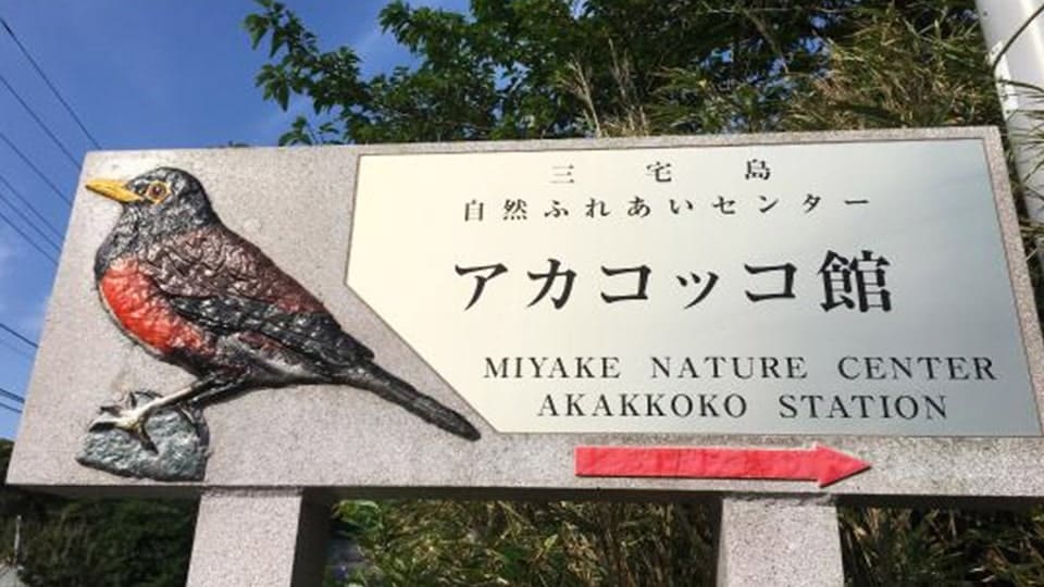 三宅島の三宅島自然ふれあいセンター・アカコッコ館