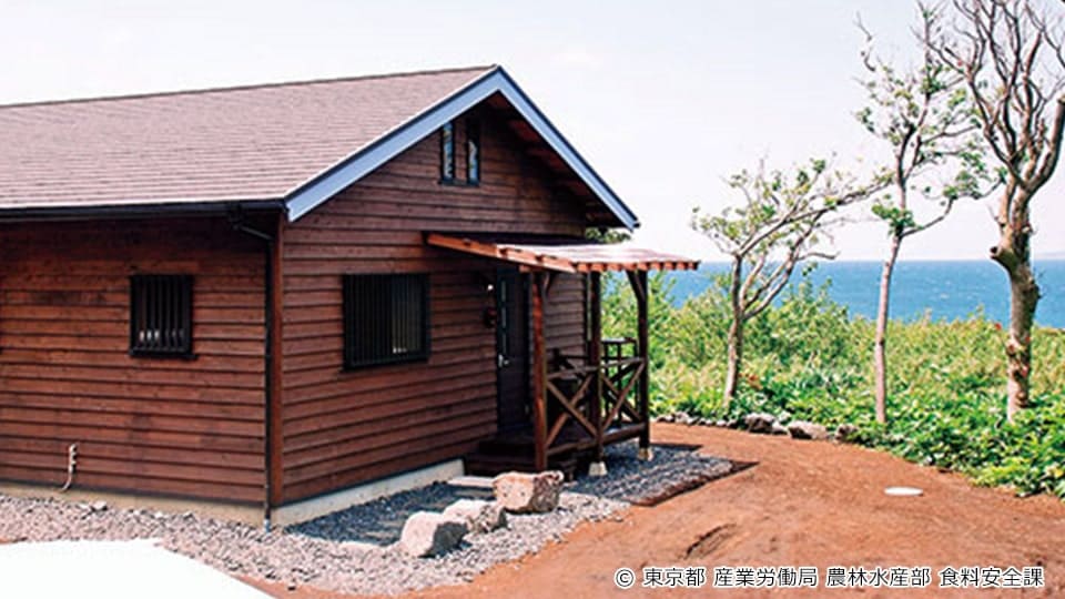 三宅島のギャラリーカフェ・カノン