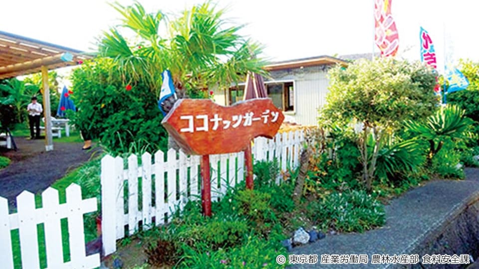 三宅島の中華料理 ココナッツガーデン