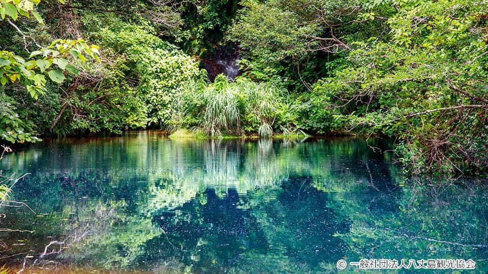 八丈島の硫黄沼