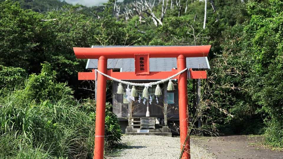 三宅島の椎取神社