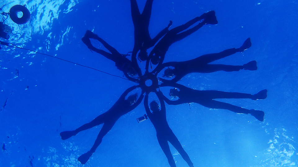 八丈島のスノーケリングオプションの画像