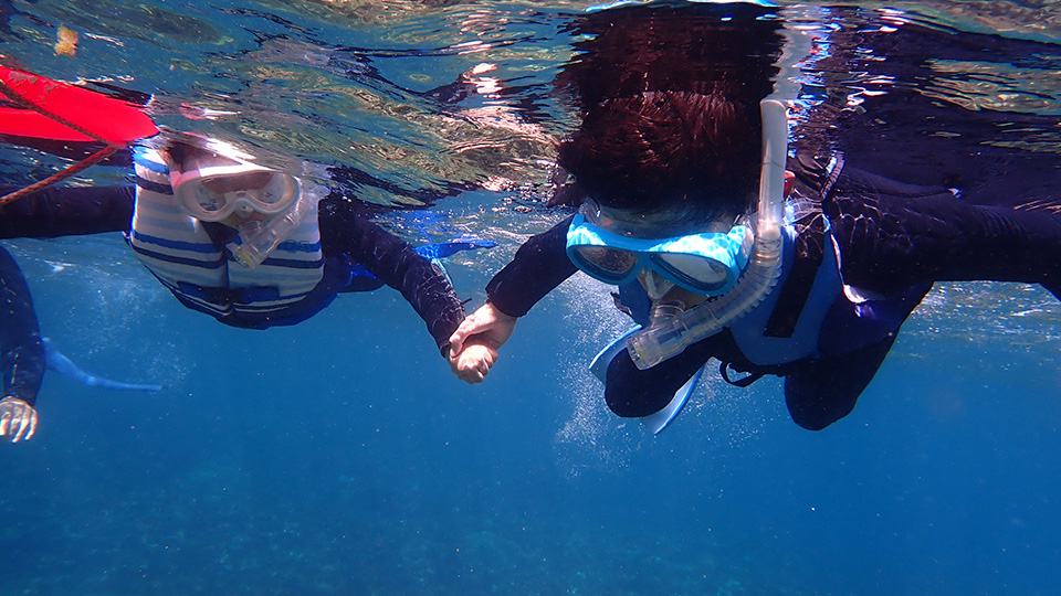 八丈島のスノーケリングオプションの画像