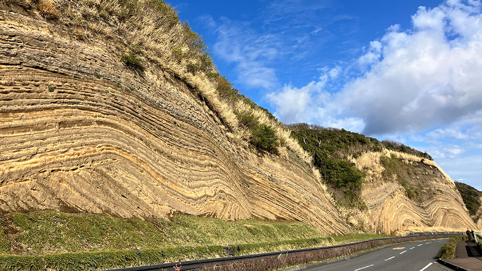 伊豆大島の島内観光オプションの画像