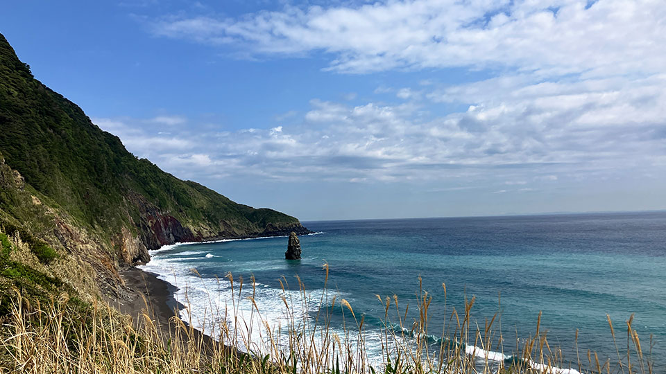 伊豆大島の島内観光オプションの画像