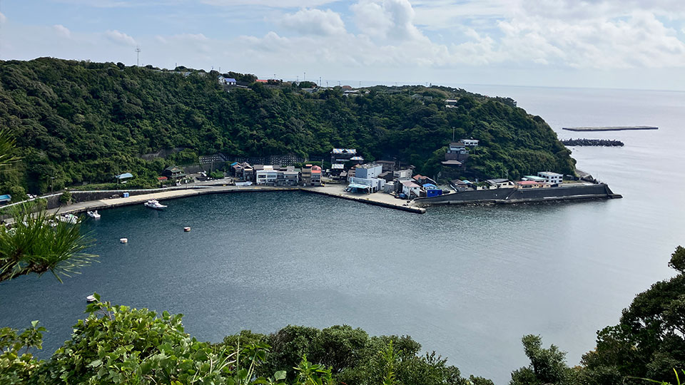 伊豆大島の島内観光オプションの画像
