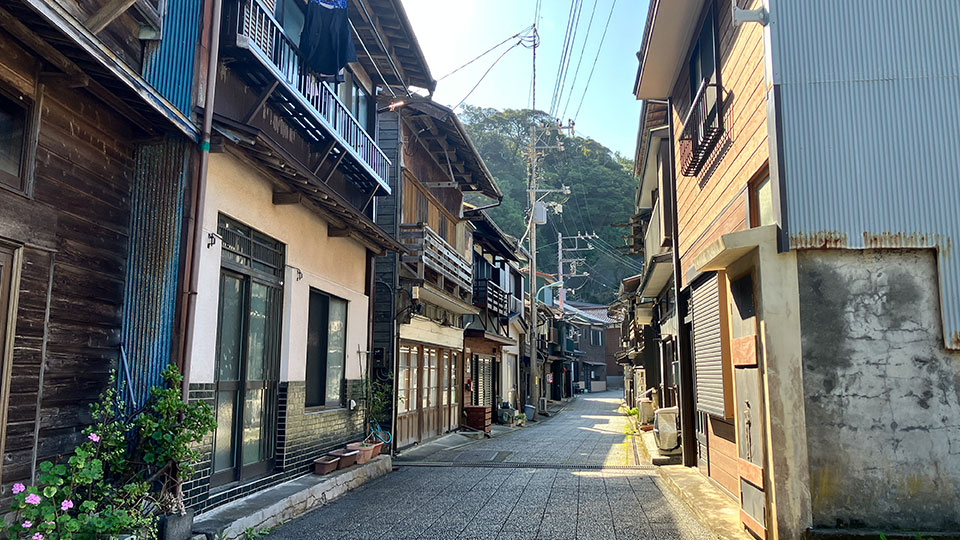 伊豆大島の島内観光オプションの画像