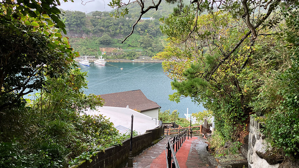 伊豆大島の島内観光オプションの画像
