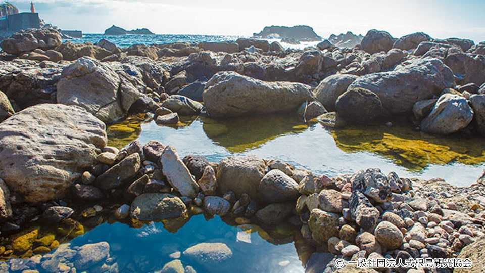 ベストな湯加減は干潮前後